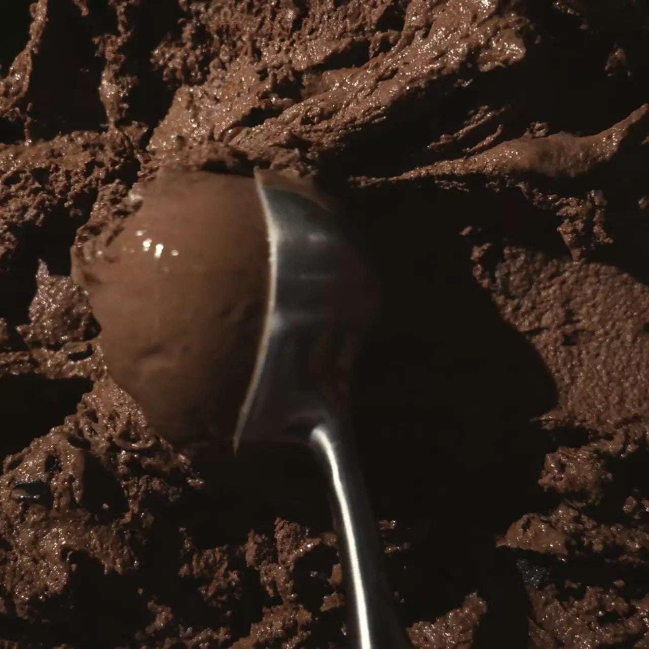 Triple Chocolate - Essential Choice Favorite